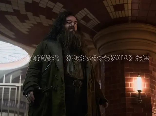 森林深处的光影：《电影森林深处2016》深度